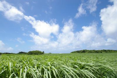 初めての久米島！その5＜久米島サラバ！＞
