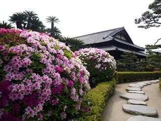 玉藻公園（史跡高松城跡）の披雲閣茶会♪