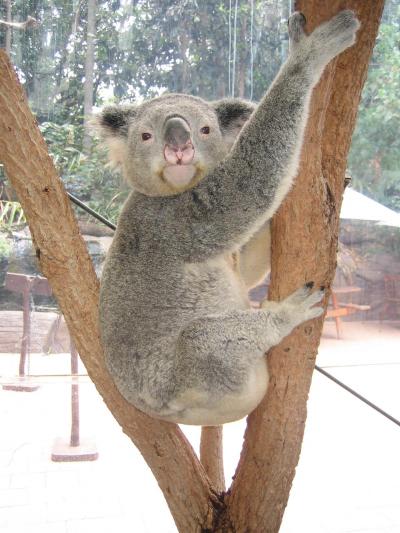 オーストラリアでリフレッシュ　Ｖｏｌ.1