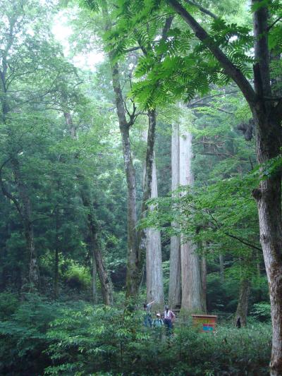 山登りの後は「石風呂」に入ってで汗を流したい