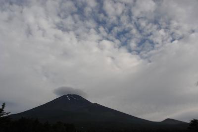 久しぶりの水ヶ塚公園から見た富士