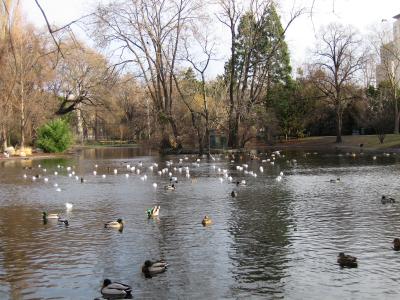 冬のヨーロッパ