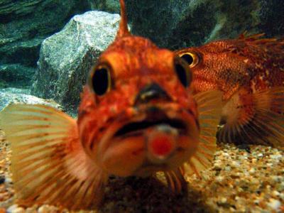 国宝　阿修羅像を見に行ってきました。