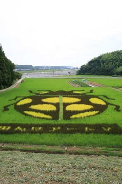 小さな旅●抹茶の里西尾 1・田んぼアート 2009