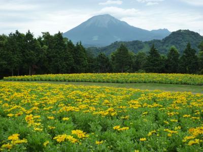 梅雨前線停滞中の山陰へ・・・雷様はどこへ行ったのよ?鳥取編