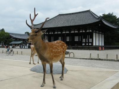 世界遺産旅行記３～古都奈良を訪ねて