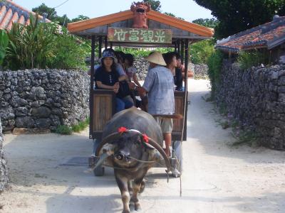 石垣島・竹富島 - 南国気分を満喫する