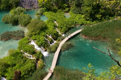 クロアチア　プリトビッツェ②森と湖が美しい下湖群ハイキング編