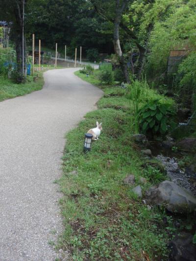 1年振り【きらの里】10回目の里帰りは、緩やかに時を刻んでいた