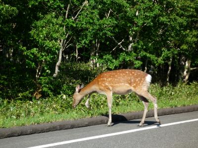 2009夏　ひがし北海道ドライブ1300キロの旅?中標津～知床～網走