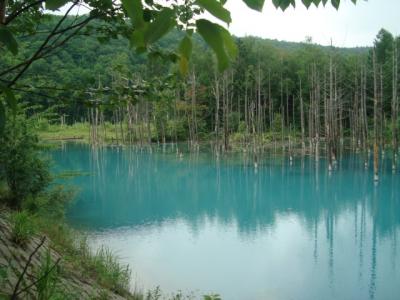 北海道ちょろちょろ紀行’０９～雨の美瑛～