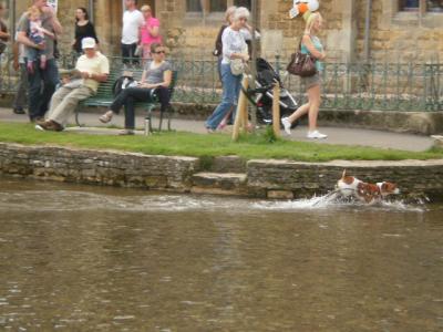 イギリスの夏という風景＠人々と犬