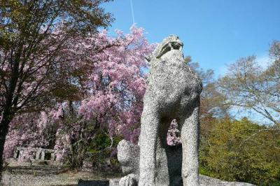 春吉野・千本桜一人旅　その1