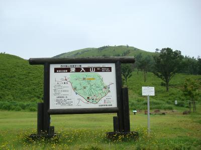  「かしわ(柏の木)に会いたい」と深入山  