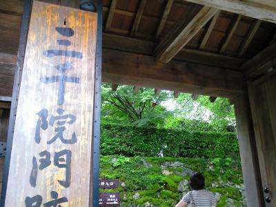 緑がみたくて、、、雨の中大原へ