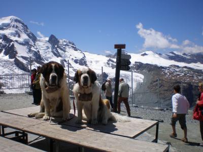 フランス・スイス・ドイツの旅（マッターホルン）