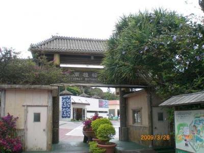 癒しのスポット　｛東南植物楽園｝