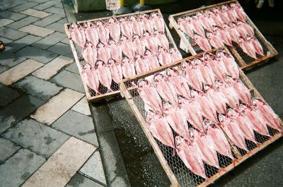 三島でぶらぶら
