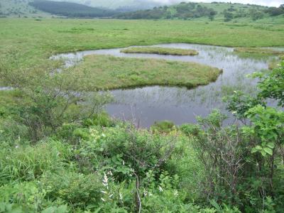 諏訪・霧が峰・八島湿原・ピタラス