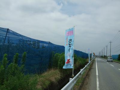 09年08月01日（土）、市原市でフルーツフェスティバル開催。