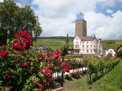 リューデスハイム：リタイヤ2人組のドイツ旅行（16）