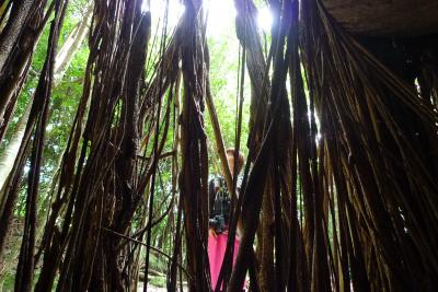 屋久島★一人旅