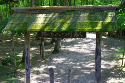 会津鉄道一泊二日(番外) 五分間の世界:塔のへつり