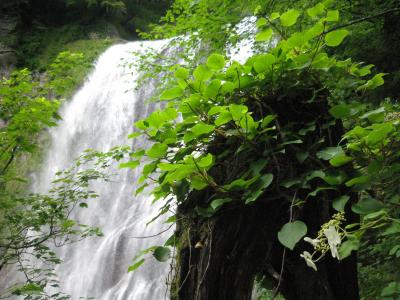 五色ヶ原、乗鞍トレッキング