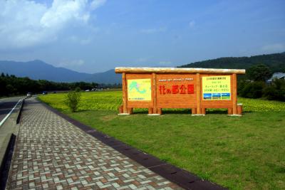 ポピーを見に花の都公園へ