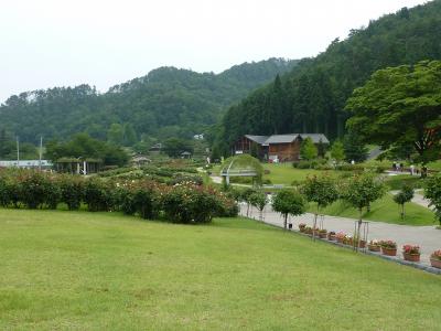 東根バラ公園、河北のベニ花