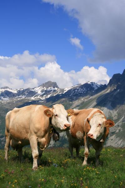 2009年7月スイスハイキングの旅12日間～サンモリッツ編②～