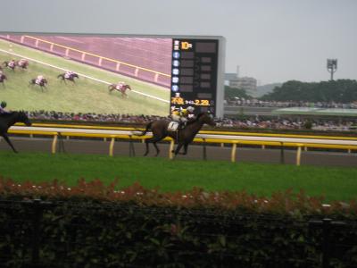 東京新名所発見！東京競馬場