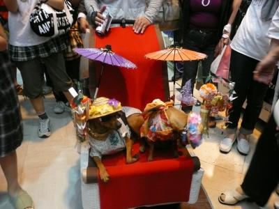 地元視点の仙台七夕と銘店ご紹介！　１