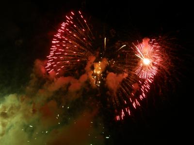 ファイヤーワークス花火芸術