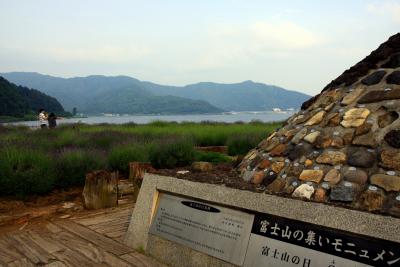 ラベンダーと花のナイアガラ