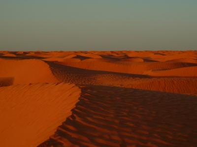 チュニジア満喫の旅