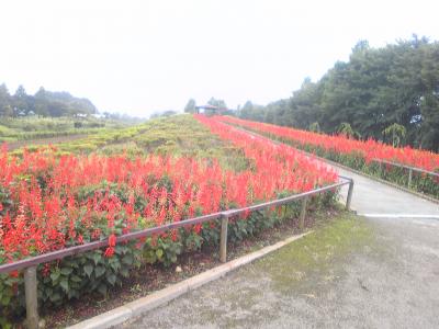 花の丘農林公園