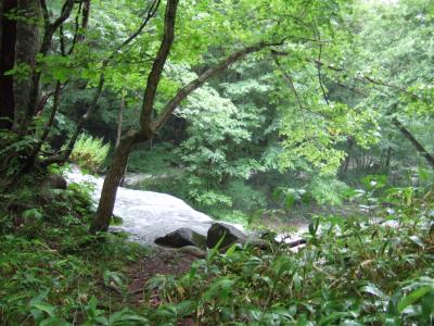 2009年8月 夏休み 岩手・鶯宿温泉 森の風 と 青森・田子町のにんにくと奥入瀬渓流の旅 ②