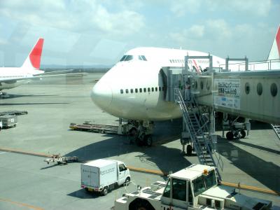 結果的には殆ど雲一つ??の上を飛び新千歳に着きました 