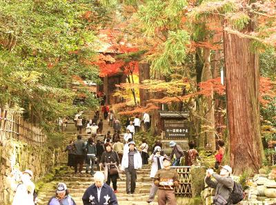 滋賀県　秋の湖東三山と永源寺を散策