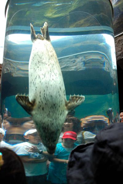 北海道の旅　～旭山動物園～