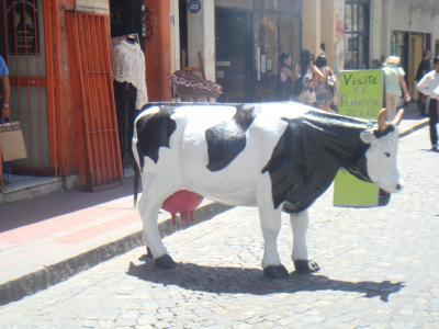 Argentina 2009/2　※作成中