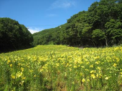 またまた信州へ①　白馬編