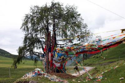 四姑娘山とミニヤコンガ山を見に行こう