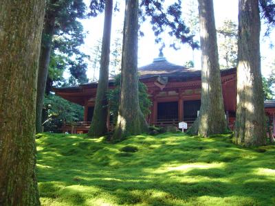 ☆比叡山で涼しく過ごす夏の一日☆　延暦寺  真昼の根本中堂・西塔
