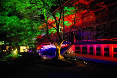 比叡山延暦寺　「法灯花」