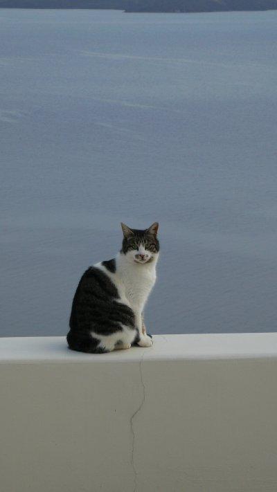 ギリシャ2009(全11日間)3