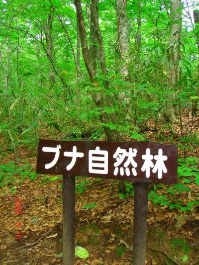 青森県五能線十二湖駅 楽しい散策コース
