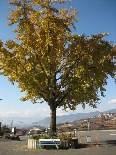 ワイナリーツアー　勝沼★