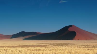 真っ赤な砂漠が見たい！  ナミビアナミブ砂漠へ（作成中）